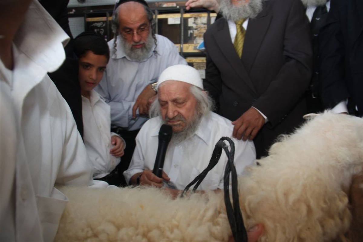 חג בחצר המקובל: פדיון פטר חמור