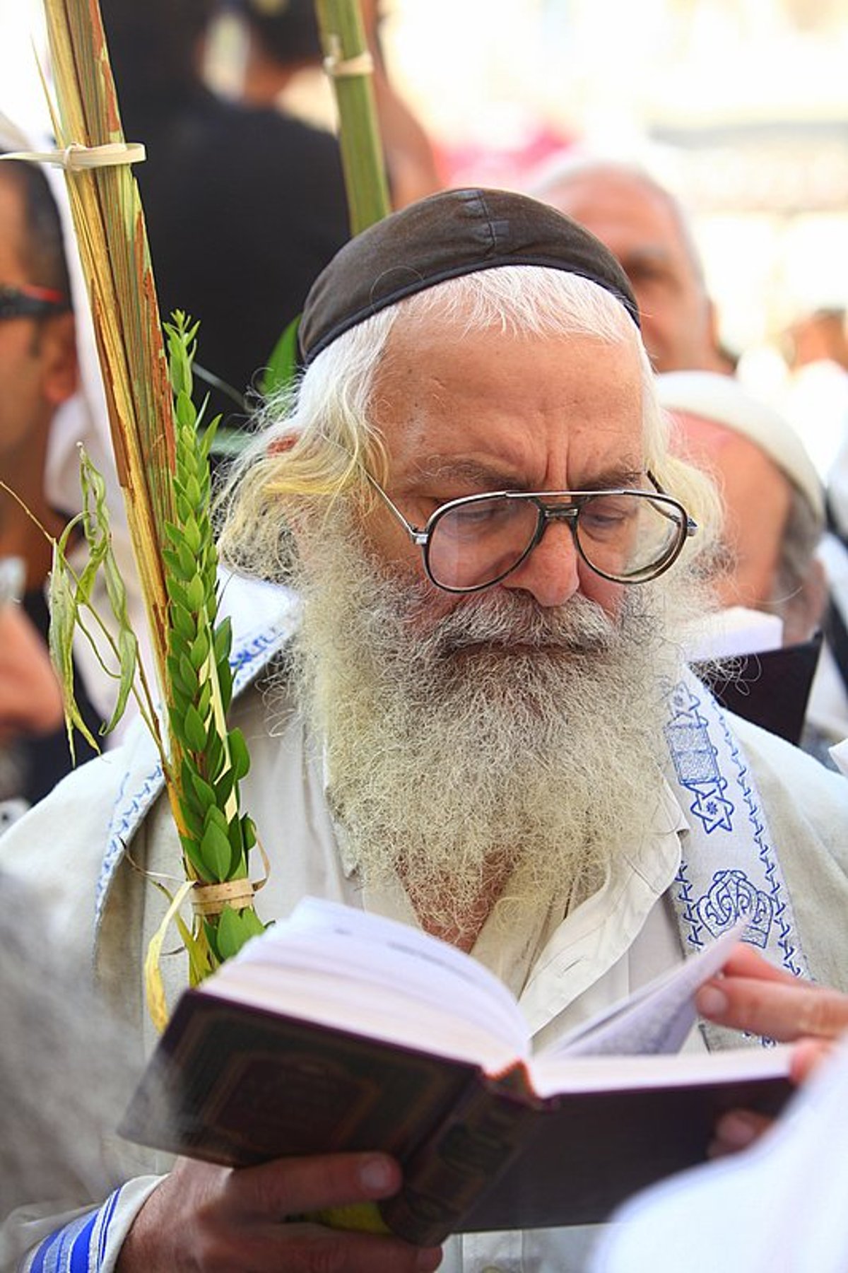 נערכים: מעמד ברכת הכוהנים הוקדש לזכותו של גלעד שליט