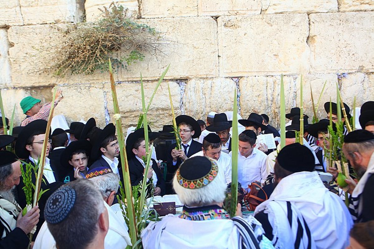 נערכים: מעמד ברכת הכוהנים הוקדש לזכותו של גלעד שליט