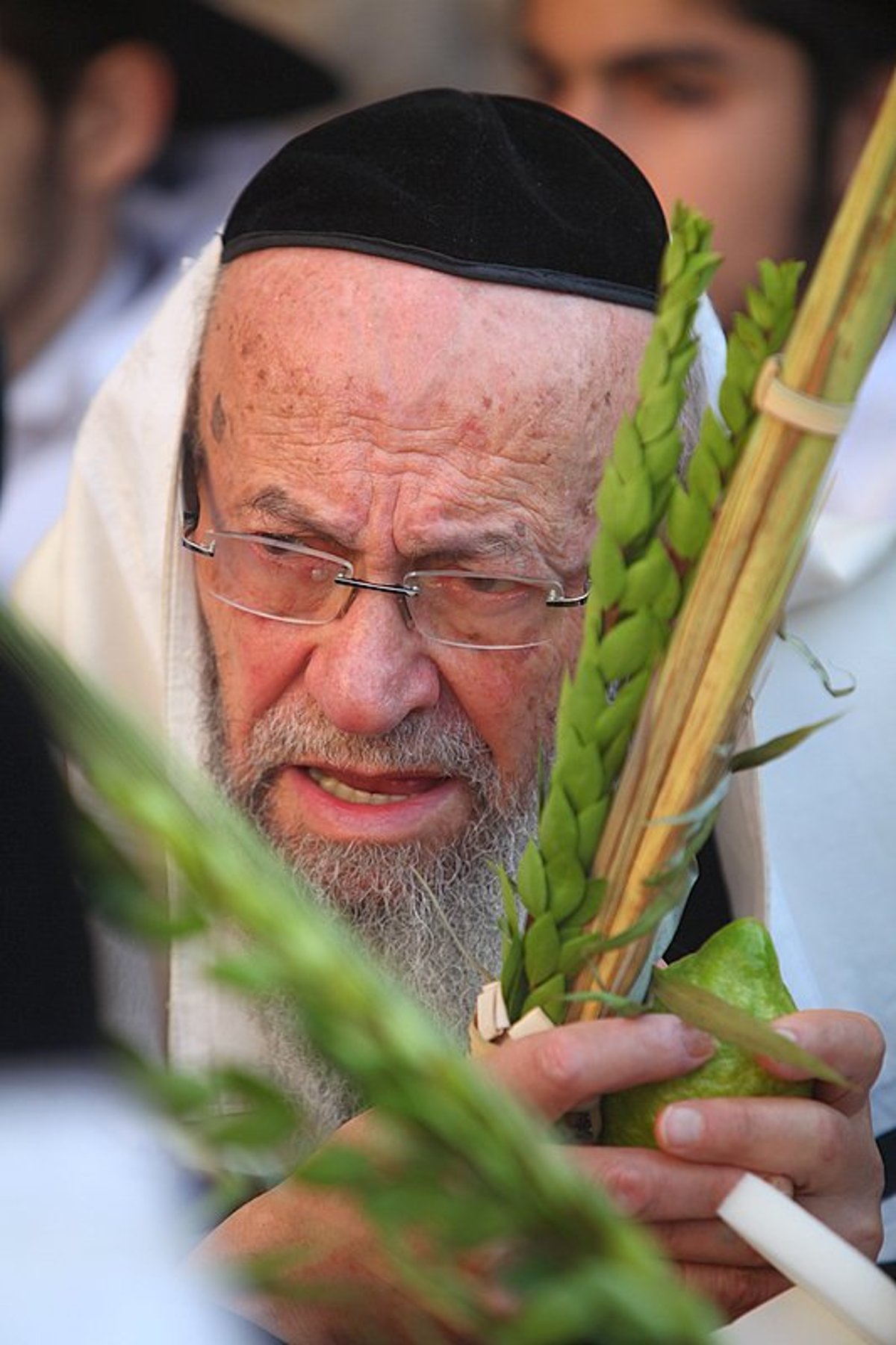 נערכים: מעמד ברכת הכוהנים הוקדש לזכותו של גלעד שליט