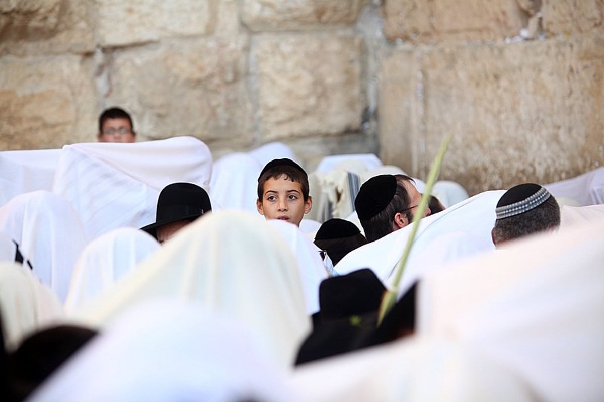 נערכים: מעמד ברכת הכוהנים הוקדש לזכותו של גלעד שליט