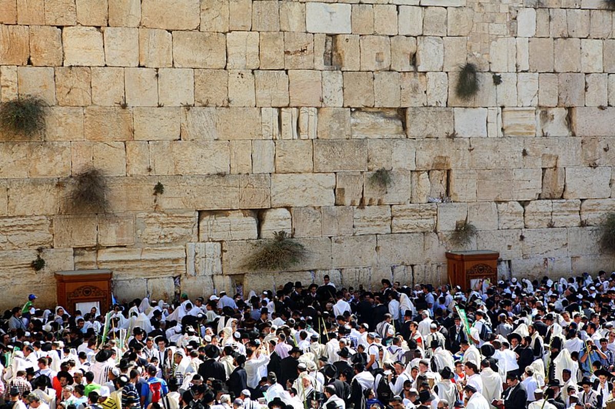 נערכים: מעמד ברכת הכוהנים הוקדש לזכותו של גלעד שליט