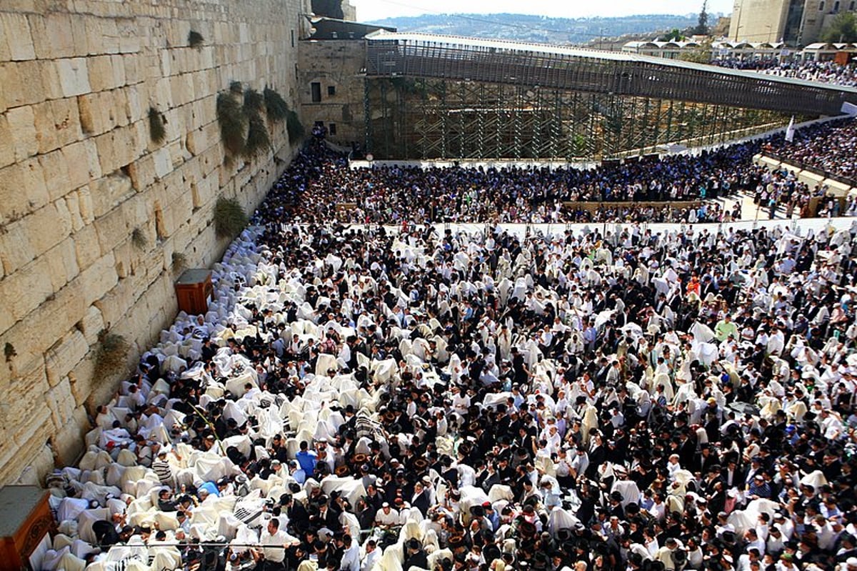 נערכים: מעמד ברכת הכוהנים הוקדש לזכותו של גלעד שליט