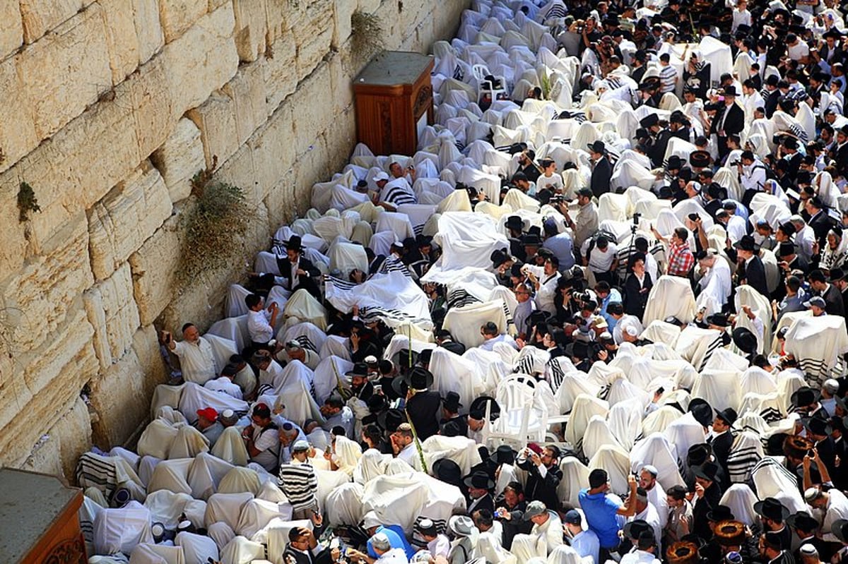 נערכים: מעמד ברכת הכוהנים הוקדש לזכותו של גלעד שליט