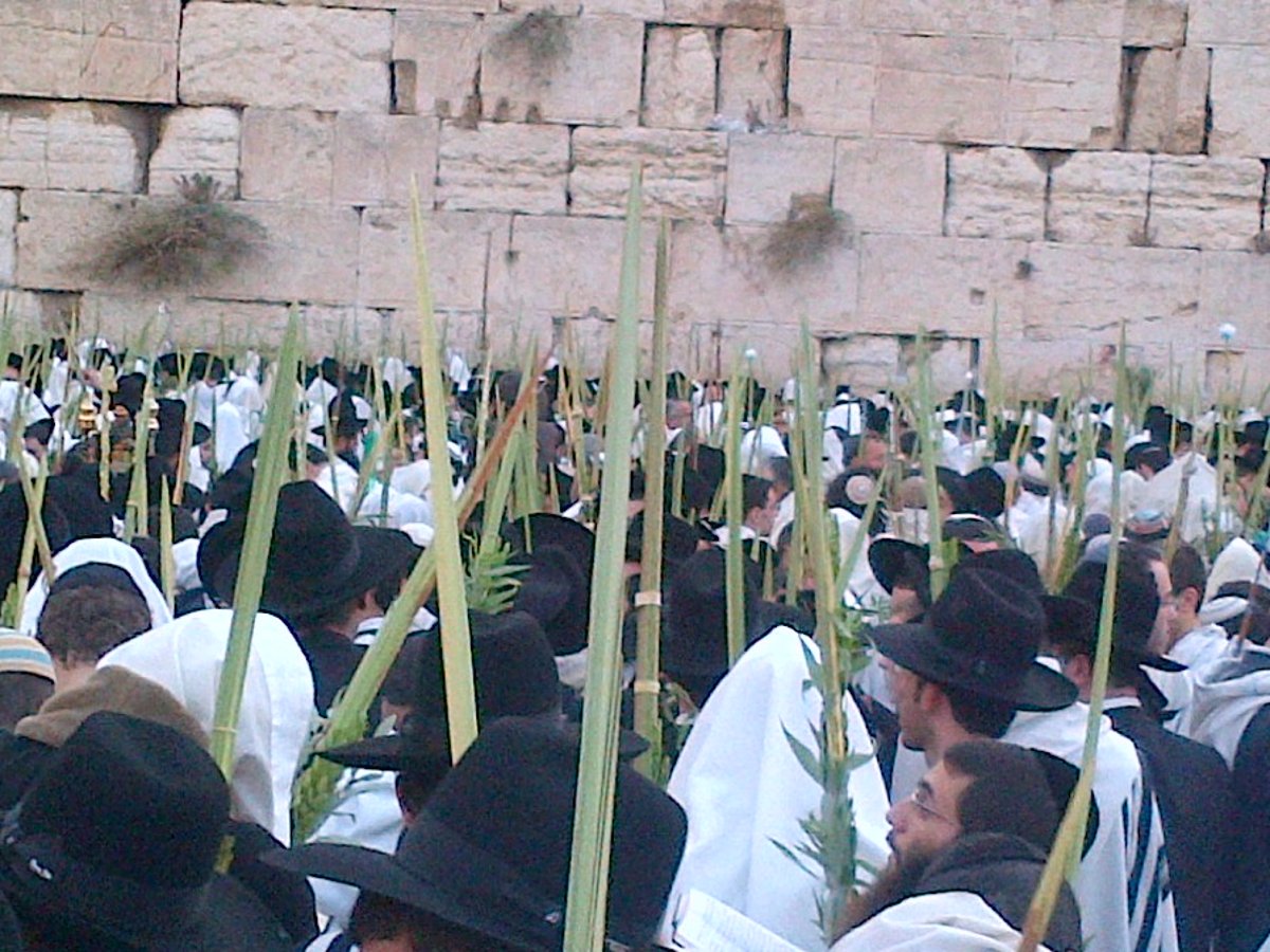 כיכר היום: תפילת הושענא רבה בכותל המערבי