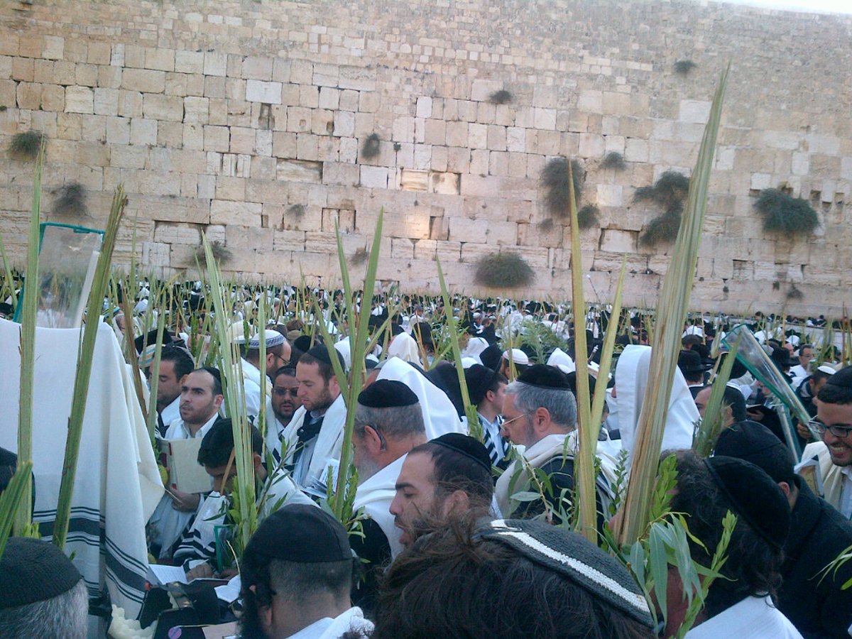 כיכר היום: תפילת הושענא רבה בכותל המערבי