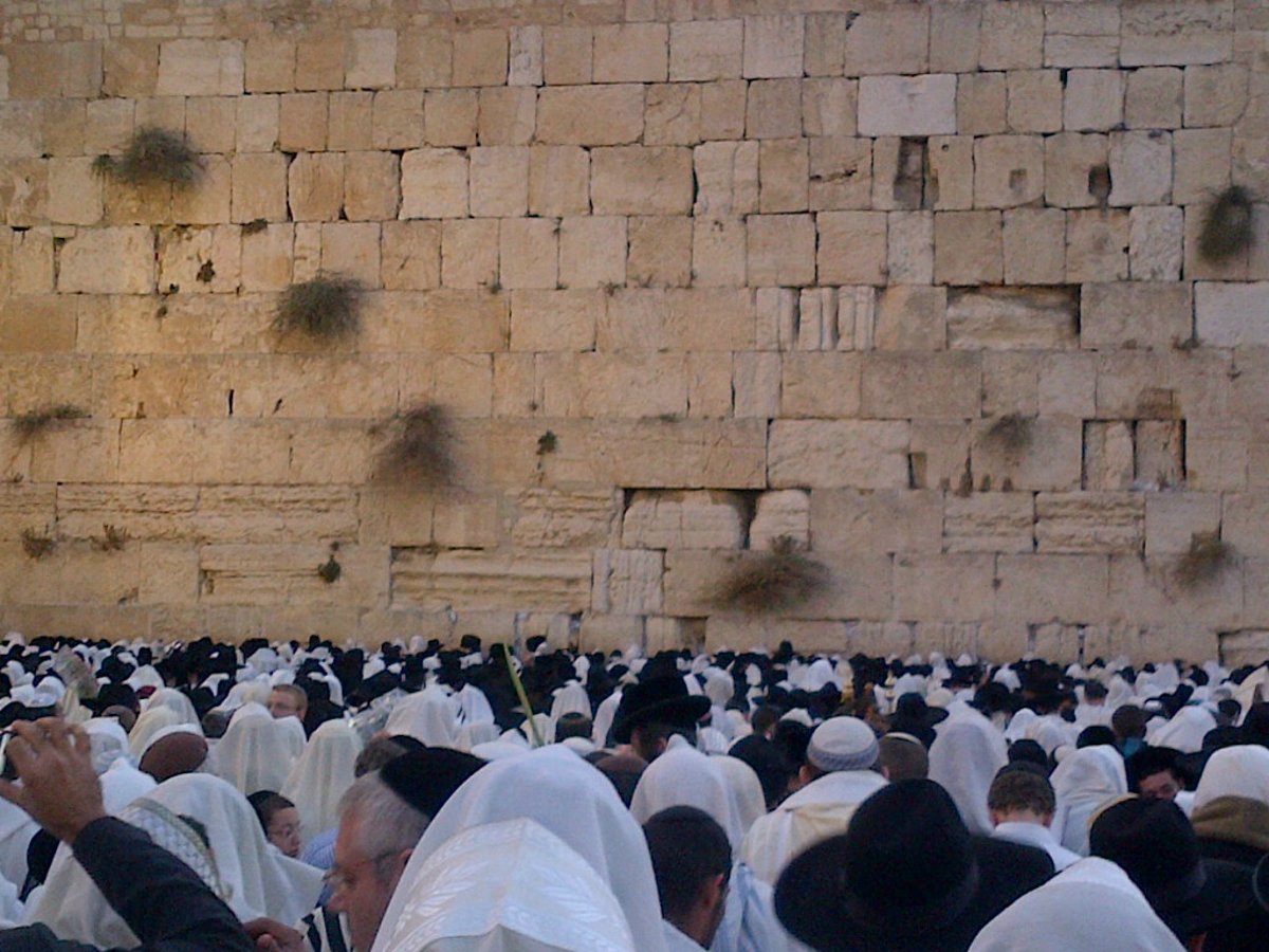 כיכר היום: תפילת הושענא רבה בכותל המערבי