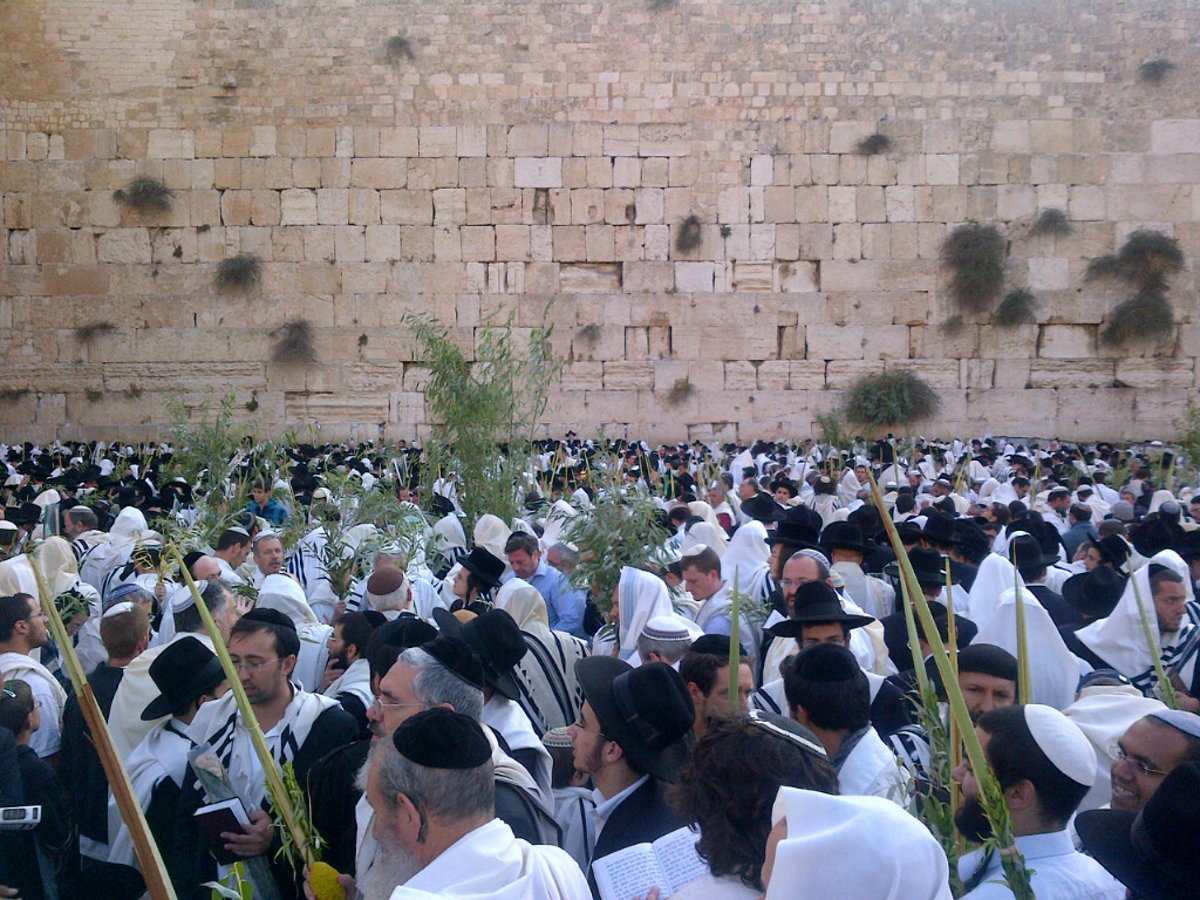 כיכר היום: תפילת הושענא רבה בכותל המערבי