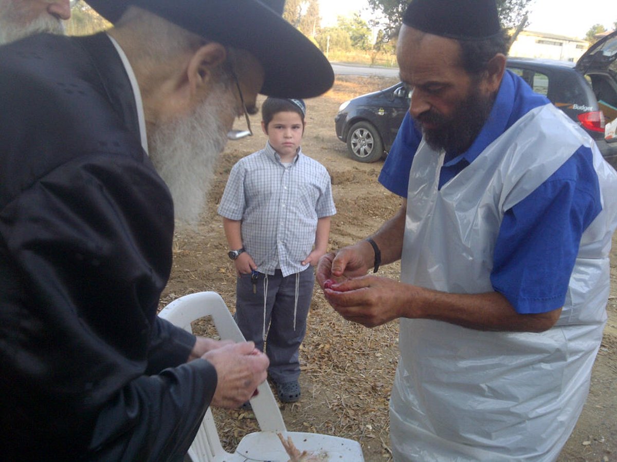 גאב"ד קוממיות בעת ה'כפרות': "למה צריך לצלם אותי?"