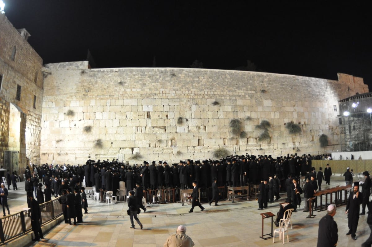 הערכות לקראת חתונת העשור בויז'ניץ