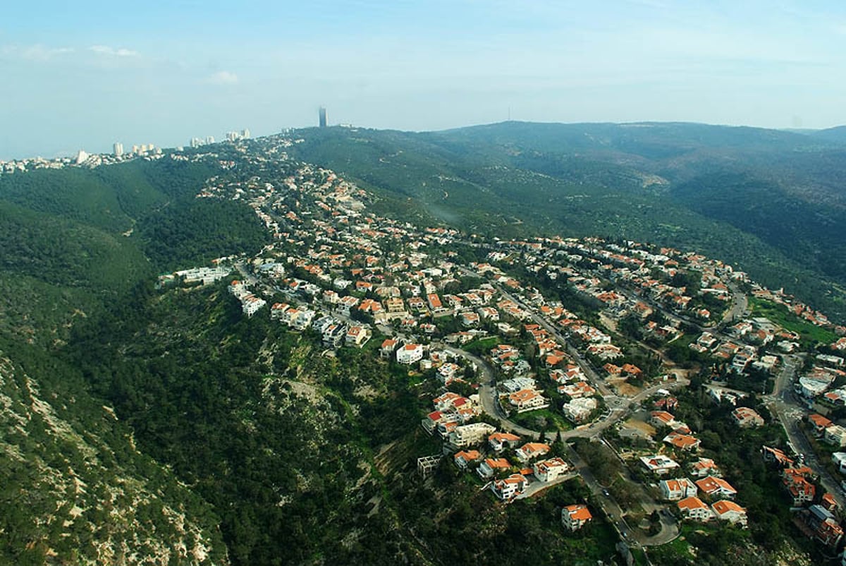 שנה לאסון הכרמל: "היער ישקם עצמו בעוד 20 שנה"