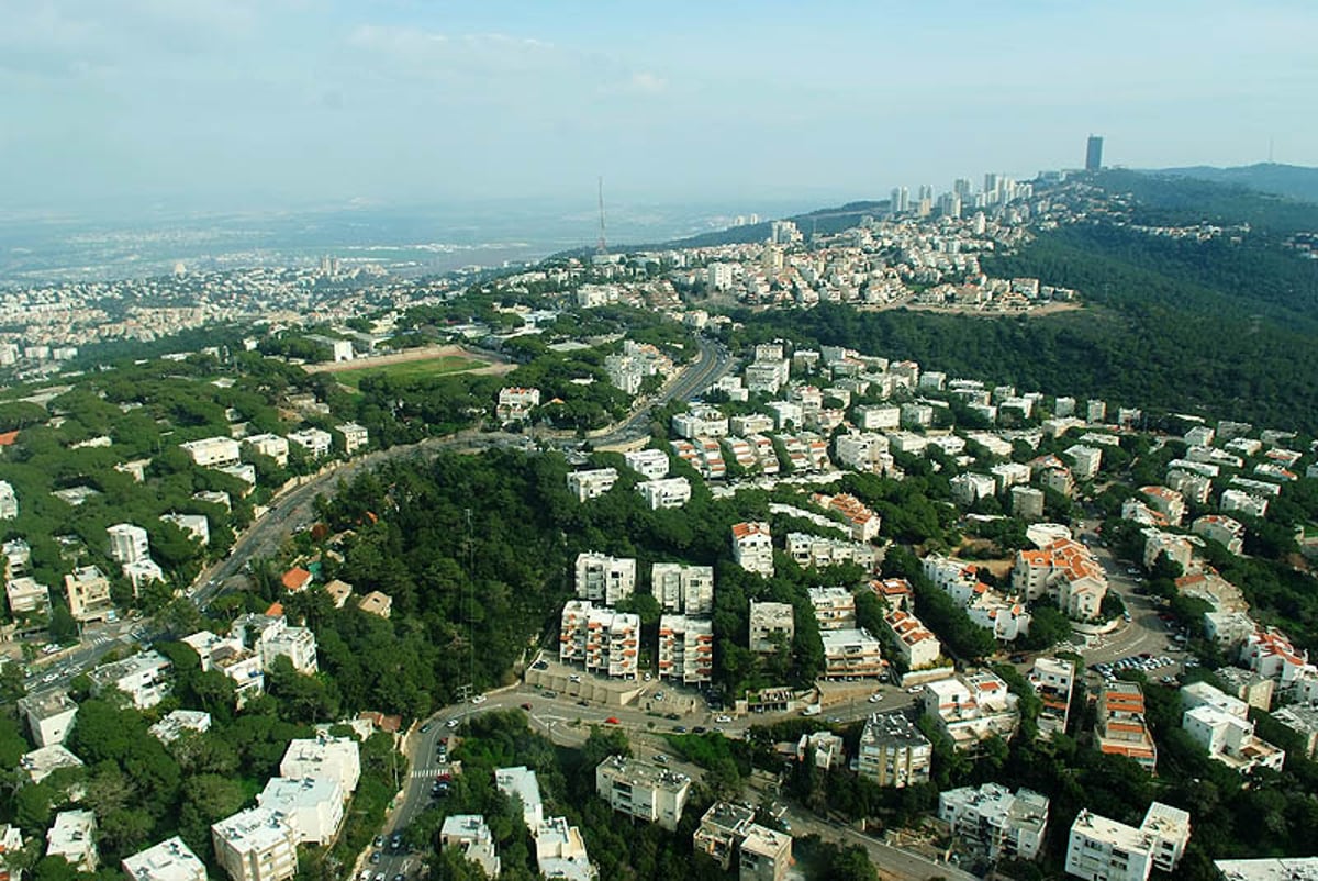 שנה לאסון הכרמל: "היער ישקם עצמו בעוד 20 שנה"