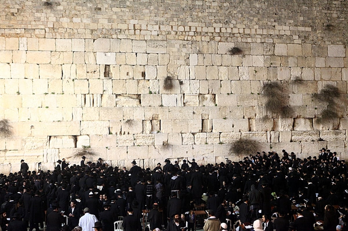 אלפים בעצרת אחדות בכותל המערבי בראשות הרב ברלנד