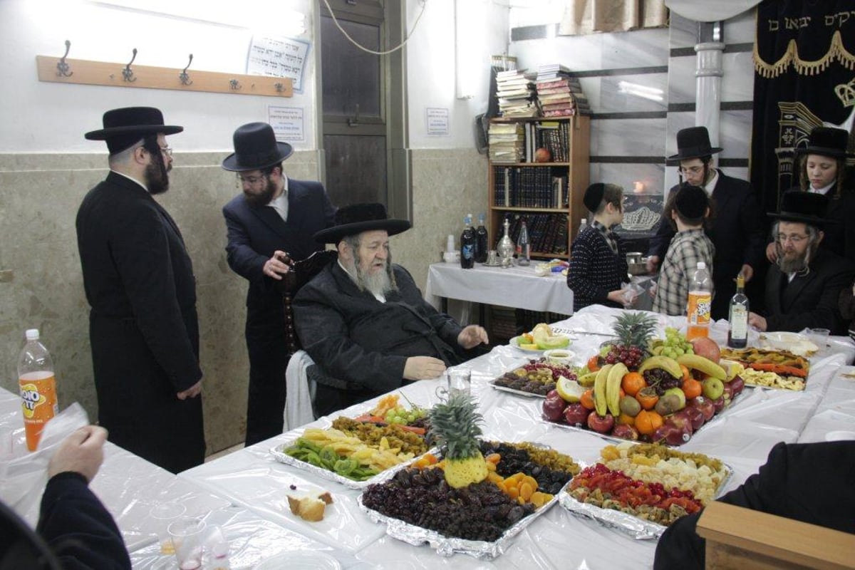 טיש פירות בטמישוואר