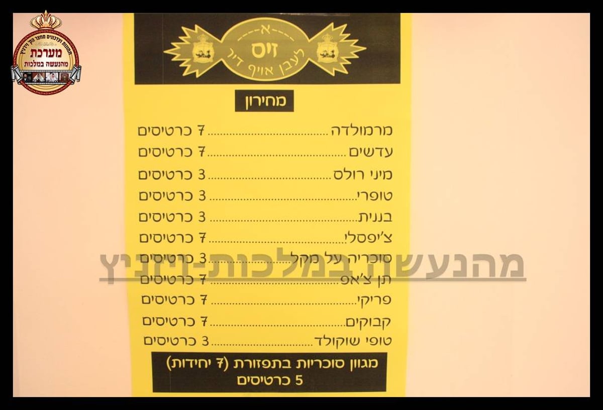 צפו בגלריית ענק: ויז'ניץ חגגה את "יום ההתקשרות"