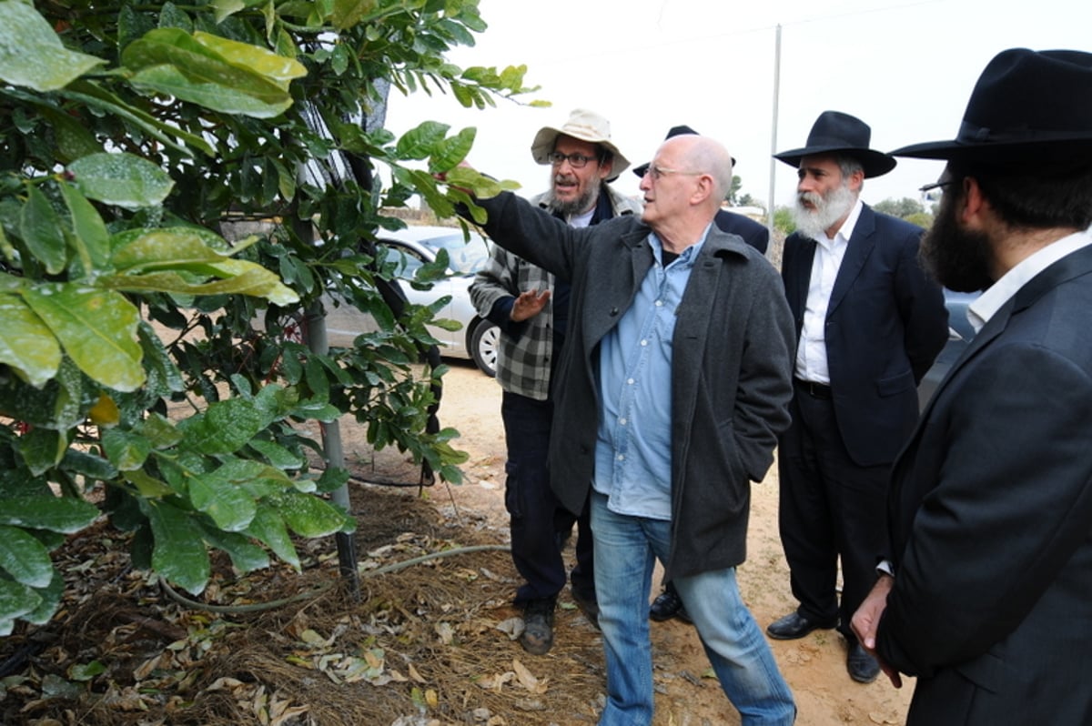 השר יסי פלד על סערת חוק טל: "העניין הפך לפוליטי"