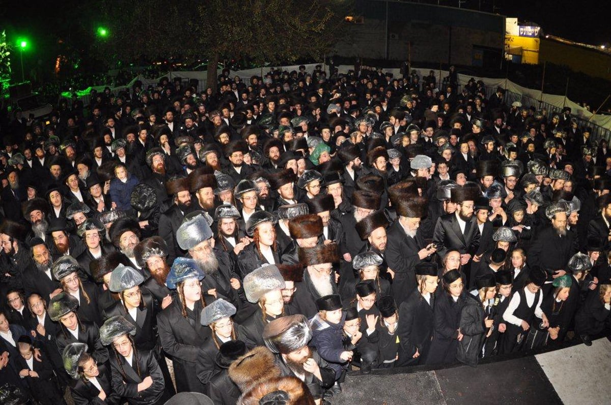 גלריית ענק: שמחת בית בעלזא-מכנובקא