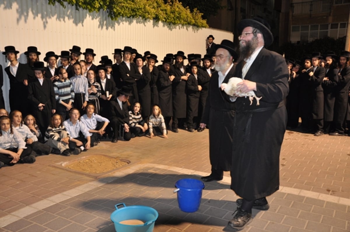 ה'כפרות' האחרון של האדמו"ר מויז'ניץ זצ"ל