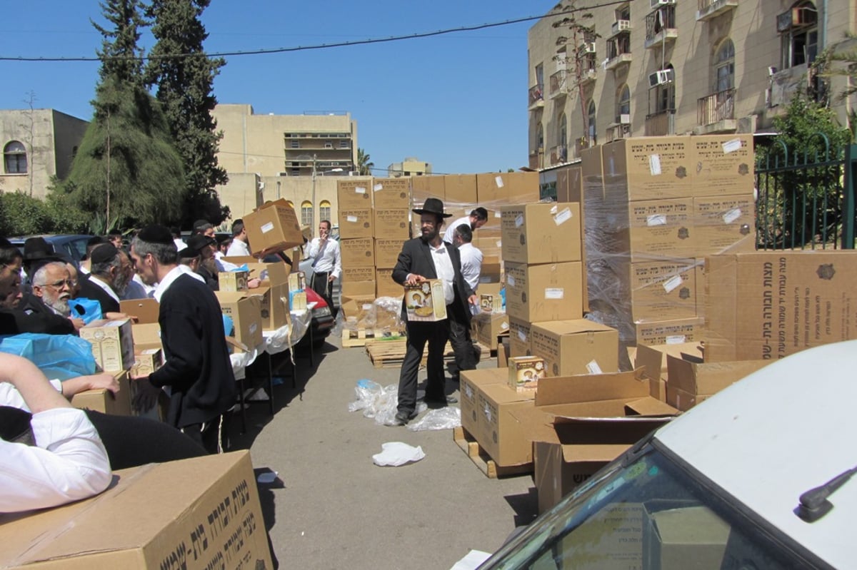 זריזין מקדימין: חלוקת מצות בכולל ישיבת פוניבז'