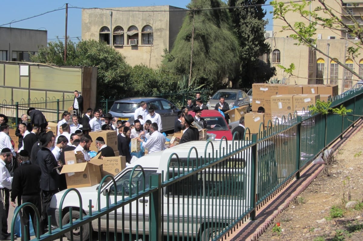 זריזין מקדימין: חלוקת מצות בכולל ישיבת פוניבז'