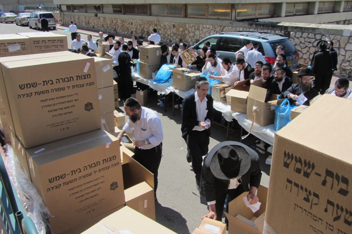 זריזין מקדימין: חלוקת מצות בכולל ישיבת פוניבז'