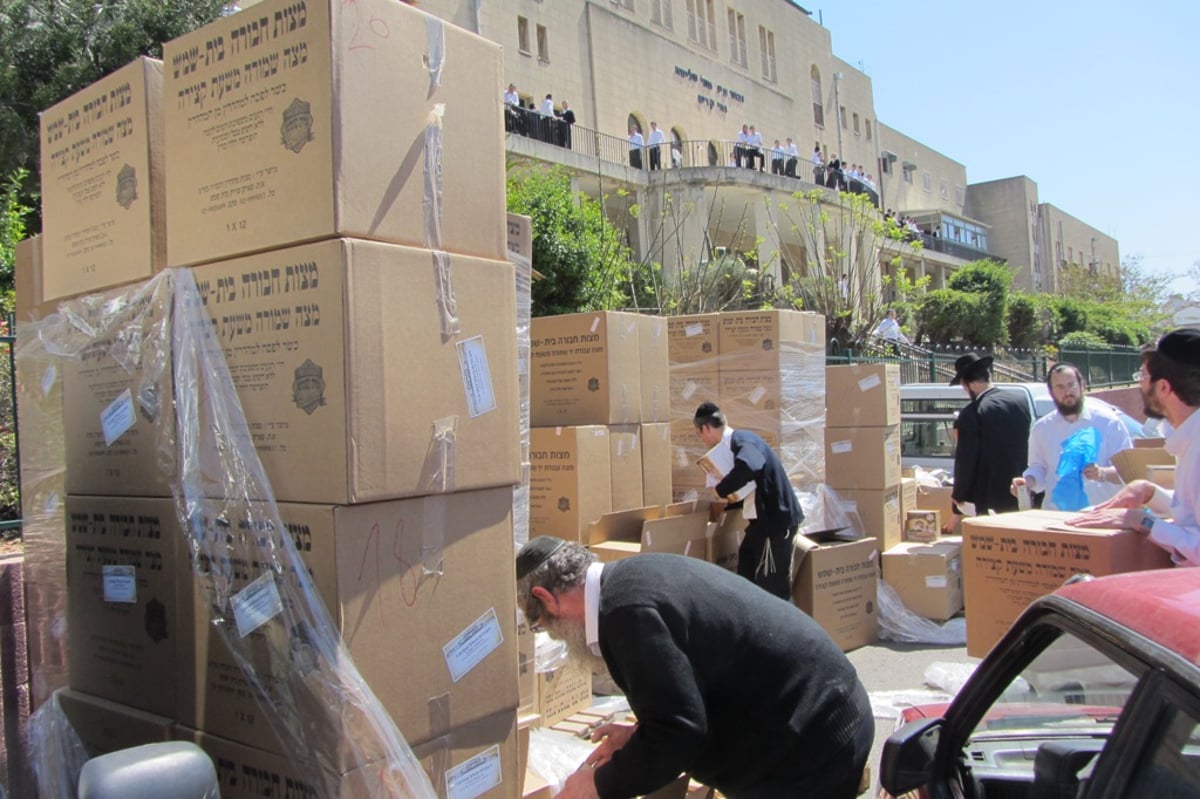 זריזין מקדימין: חלוקת מצות בכולל ישיבת פוניבז'