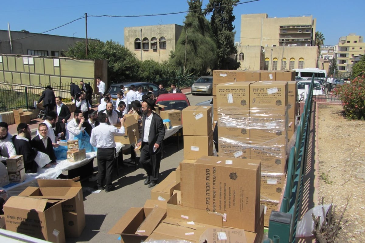 זריזין מקדימין: חלוקת מצות בכולל ישיבת פוניבז'