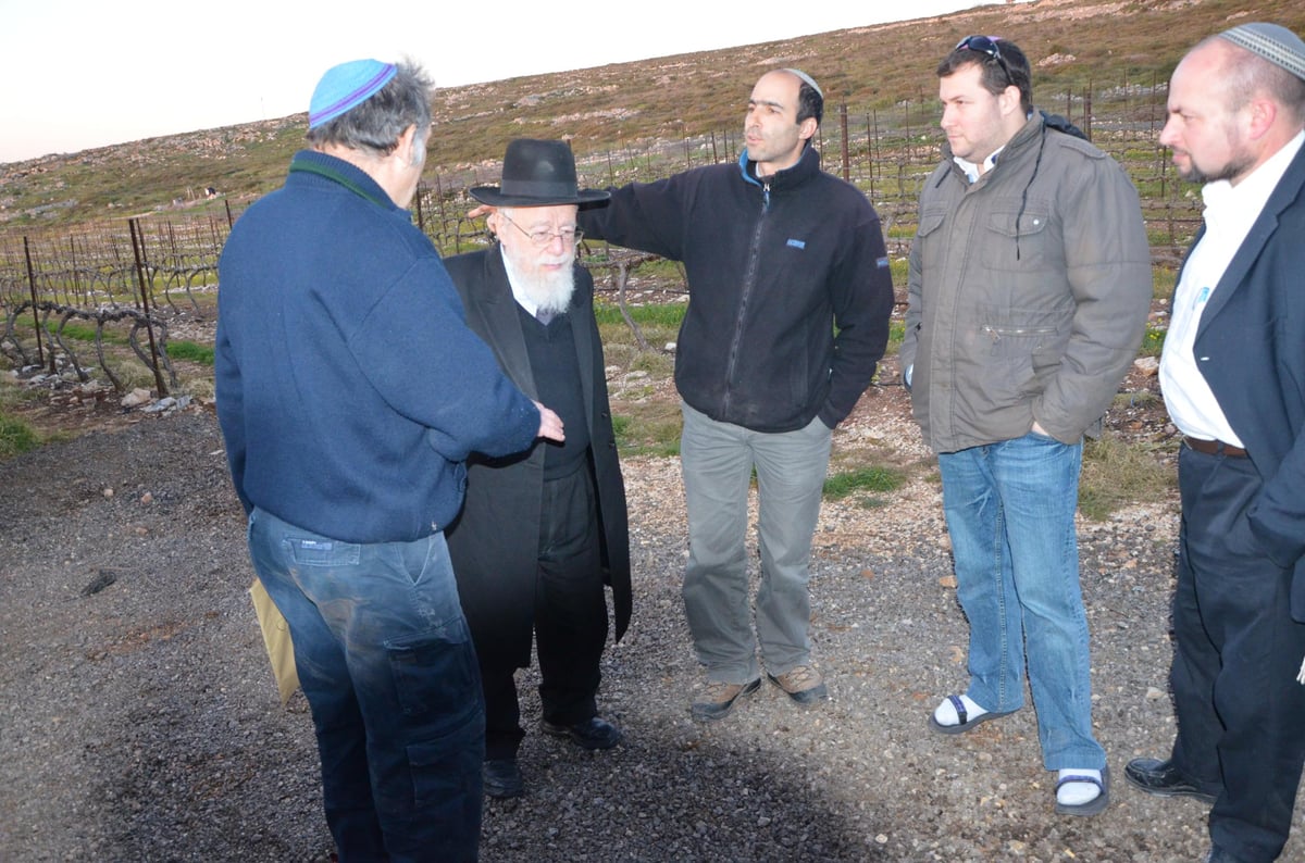 הרב דב ליאור: "ההתנתקות - המשך חטא המרגלים"