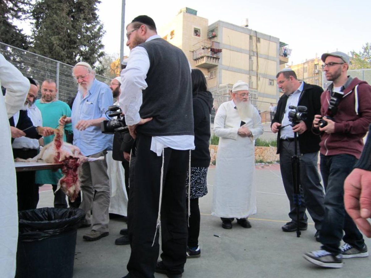 שלב אחר שלב: כך מקריבים קורבן פסח