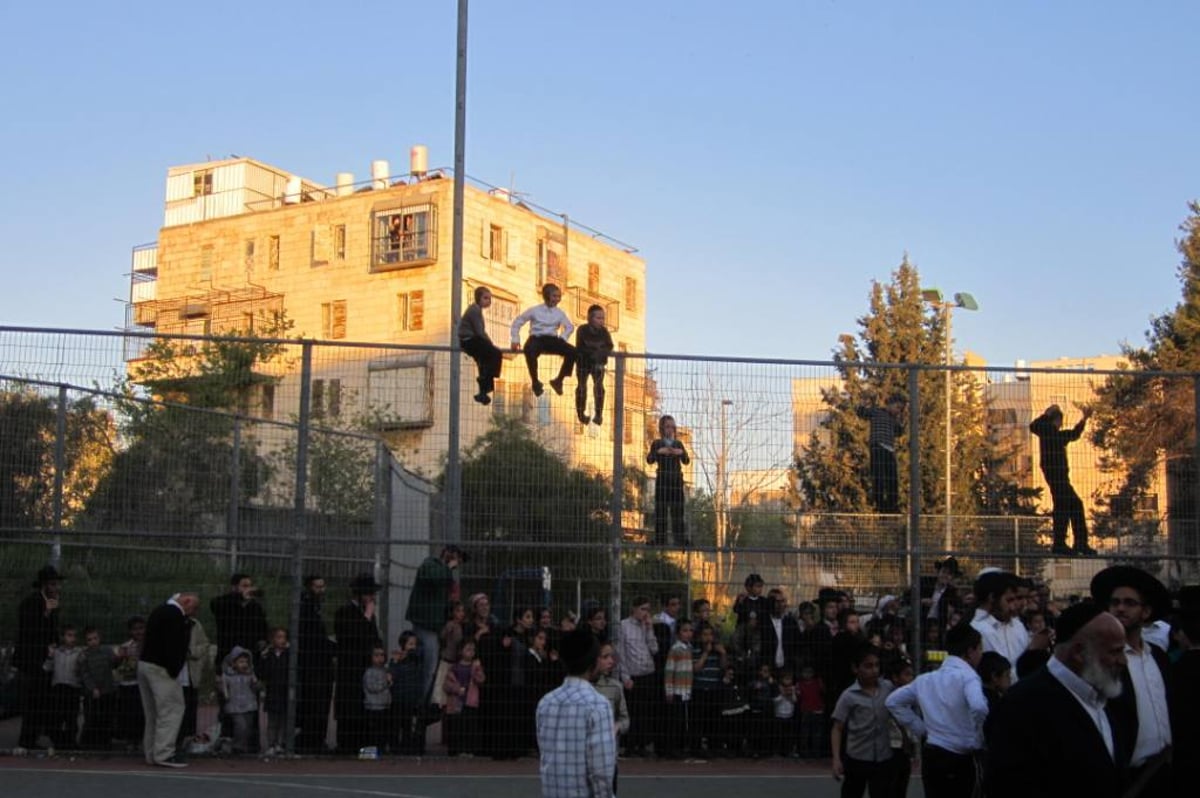 שלב אחר שלב: כך מקריבים קורבן פסח