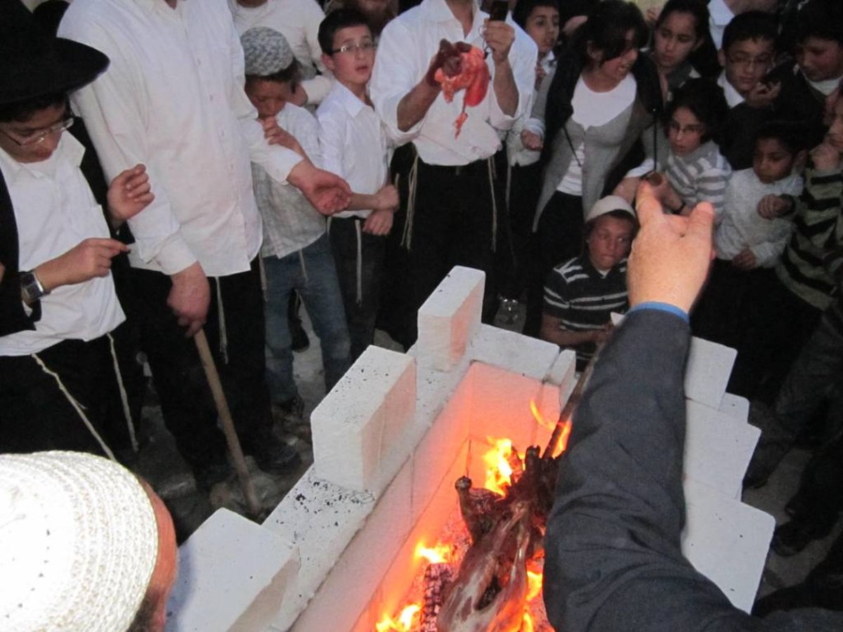 שלב אחר שלב: כך מקריבים קורבן פסח