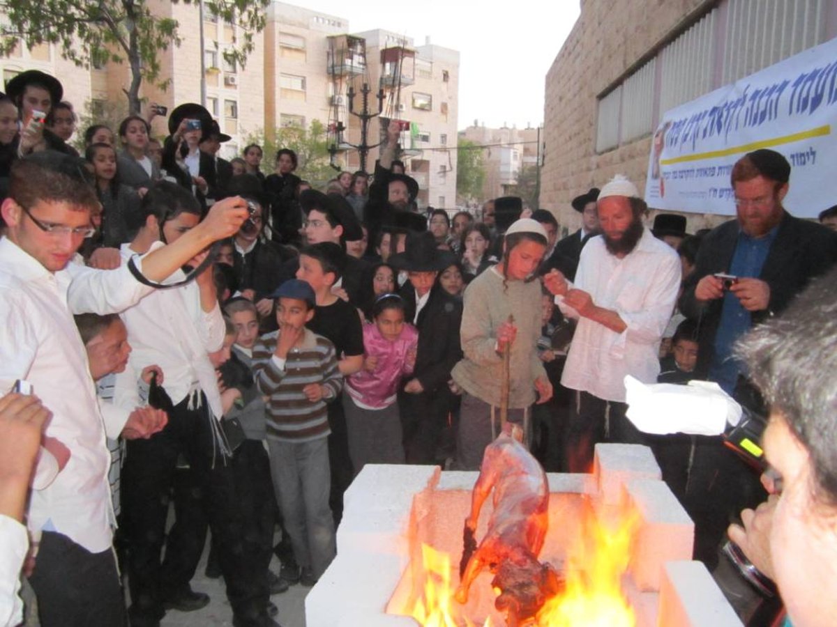 שלב אחר שלב: כך מקריבים קורבן פסח