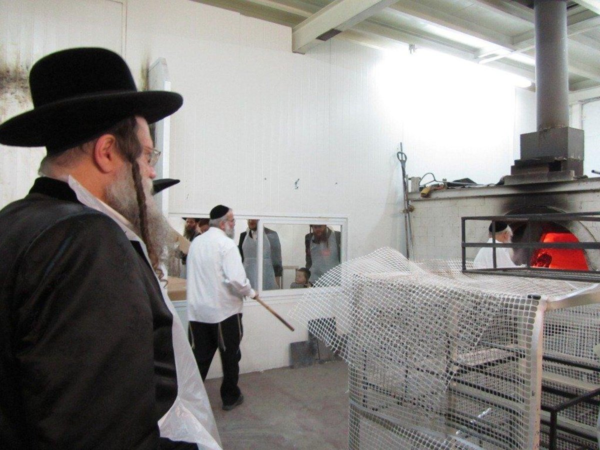 בחרדת קודש: גדולי ישראל אופים מצות ● תיעוד חגיגי