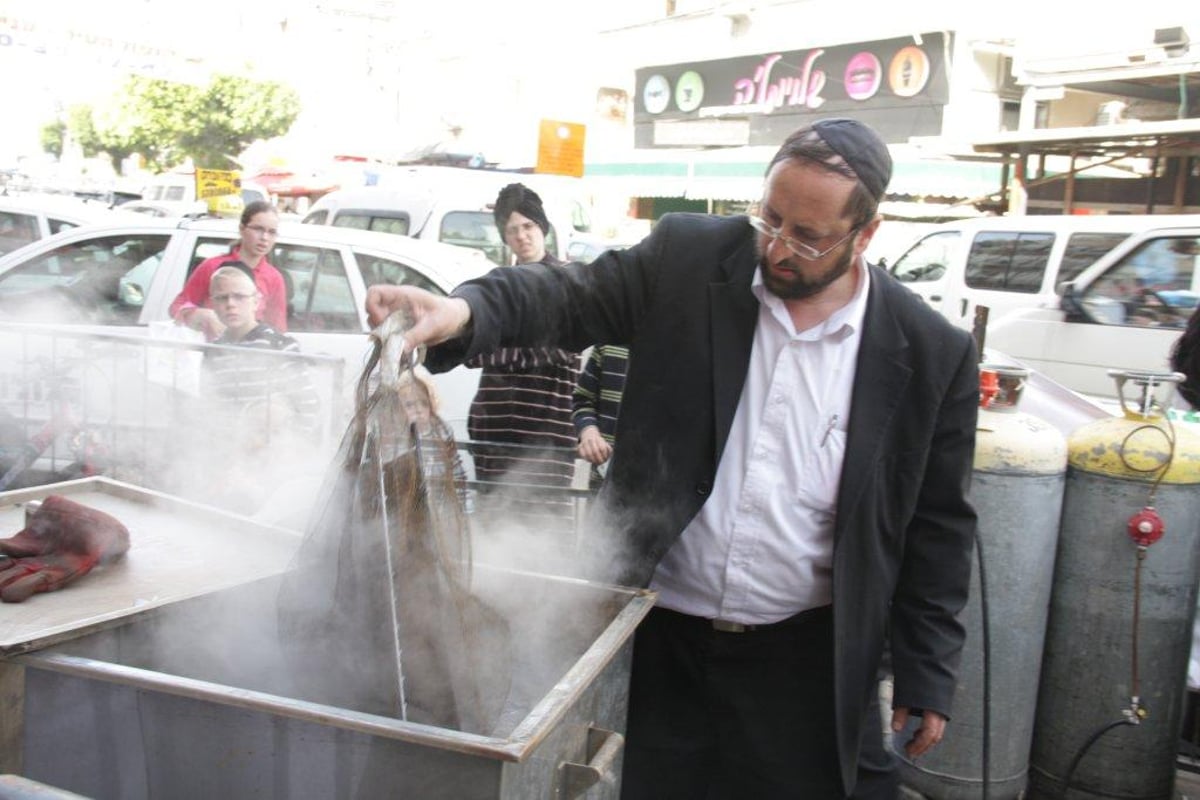 גלריה: ערב פסח תשע"ב בבני-ברק