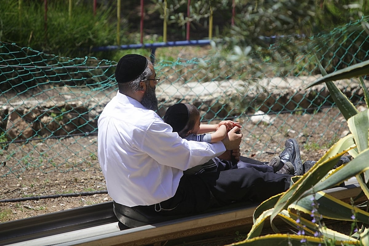 הכבישים פקוקים, הפארקים עמוסים: חול המועד בתמונות