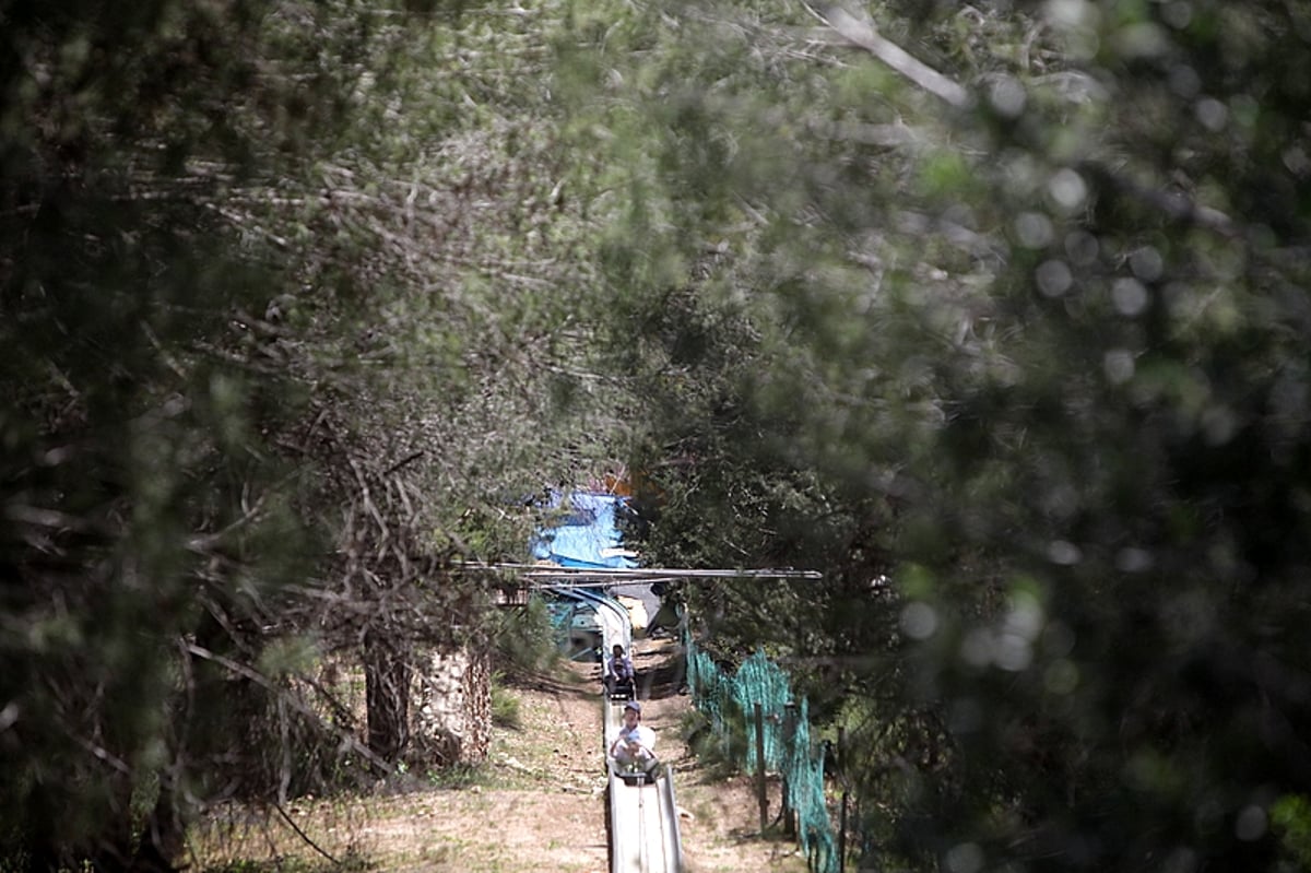 הכבישים פקוקים, הפארקים עמוסים: חול המועד בתמונות