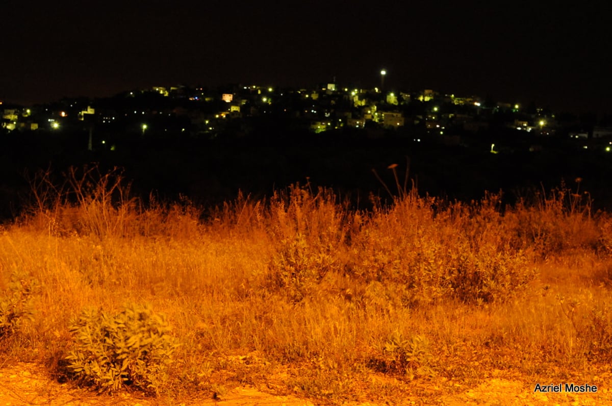 הרב עובדיה יוסף שיגר שליח לקבר יהושע