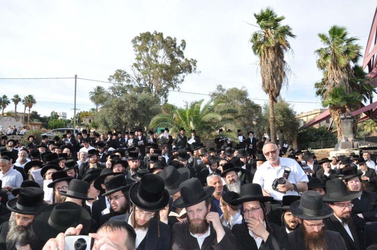 גלריה: אלפים בציון השל"ה בטבריה