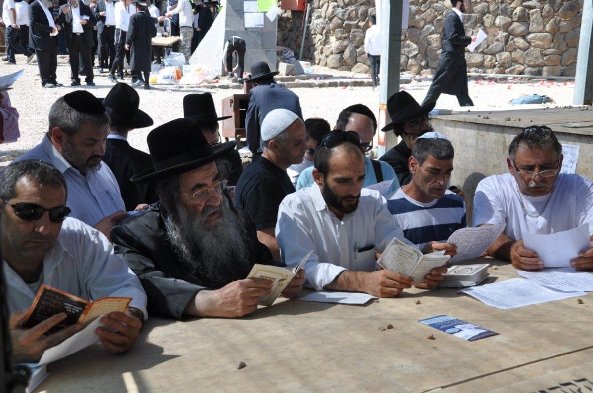 גלריה: אלפים בציון השל"ה בטבריה