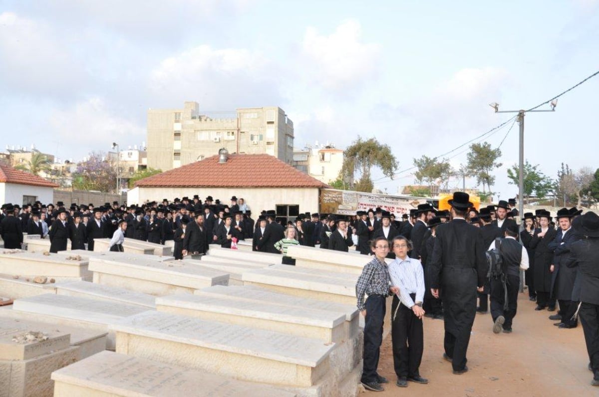 צפו: האדמו"ר מסערט ויז'ניץ על ציון זקנו