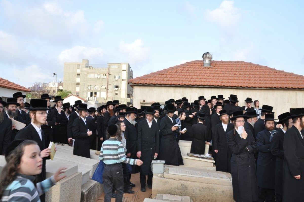 צפו: האדמו"ר מסערט ויז'ניץ על ציון זקנו