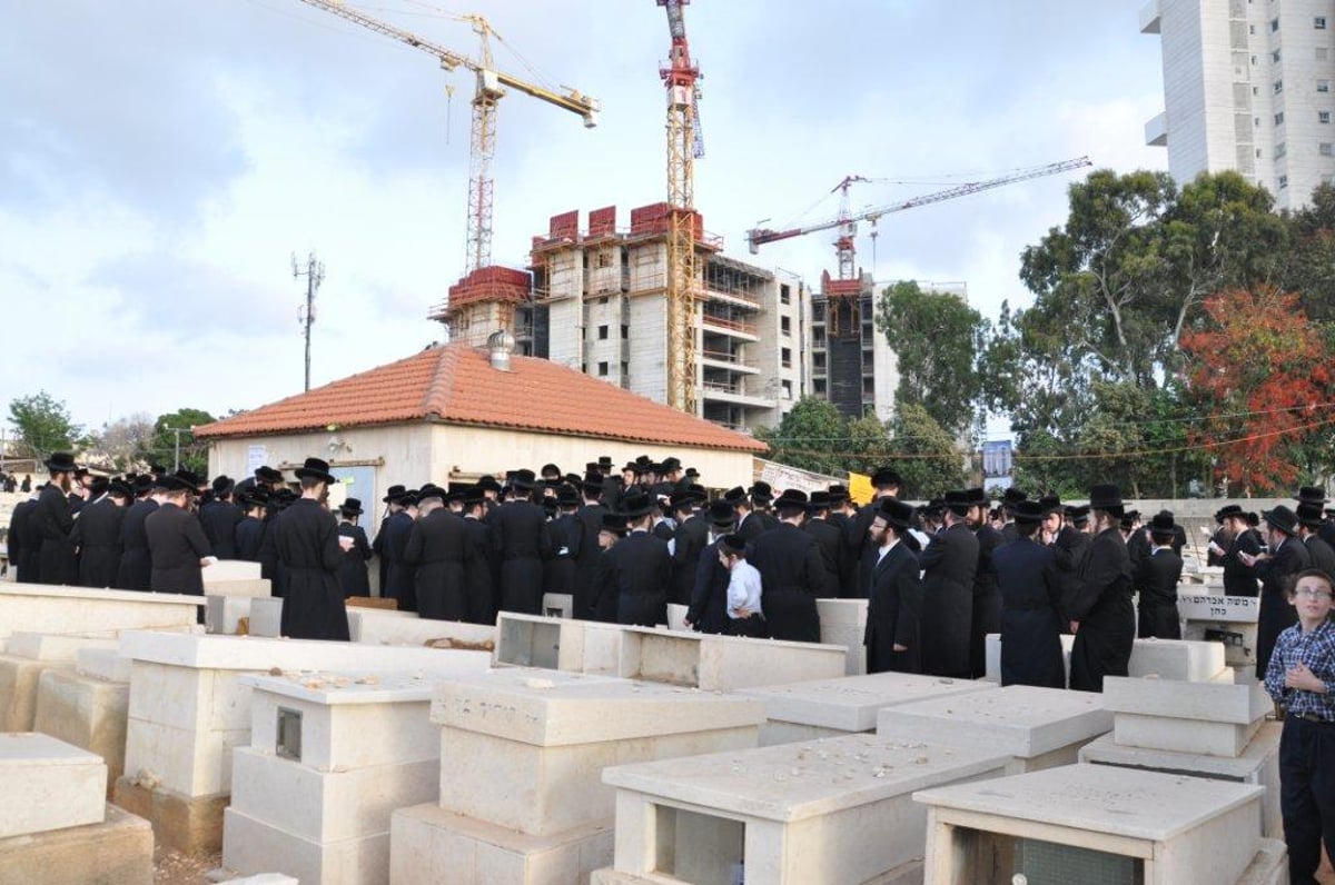 צפו: האדמו"ר מסערט ויז'ניץ על ציון זקנו