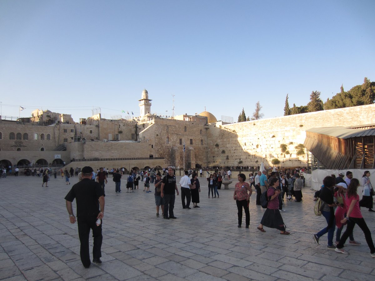 פפראצי: השחקן זאב רווח בתפילה בכותל