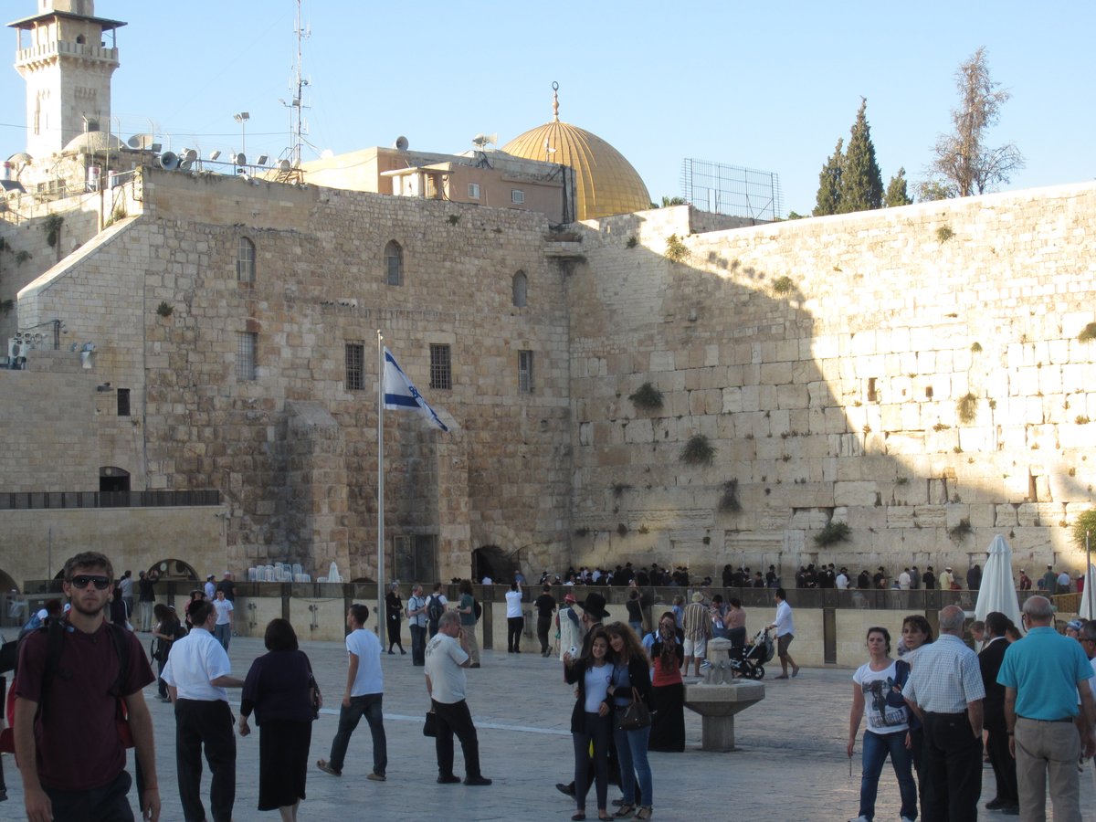 פפראצי: השחקן זאב רווח בתפילה בכותל