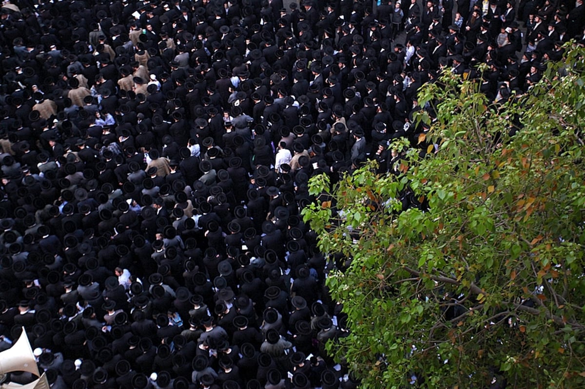 גאב"ד העדה החרדית זעק: "צריך למסור את הנפש ולא להתגייס לצה"ל"