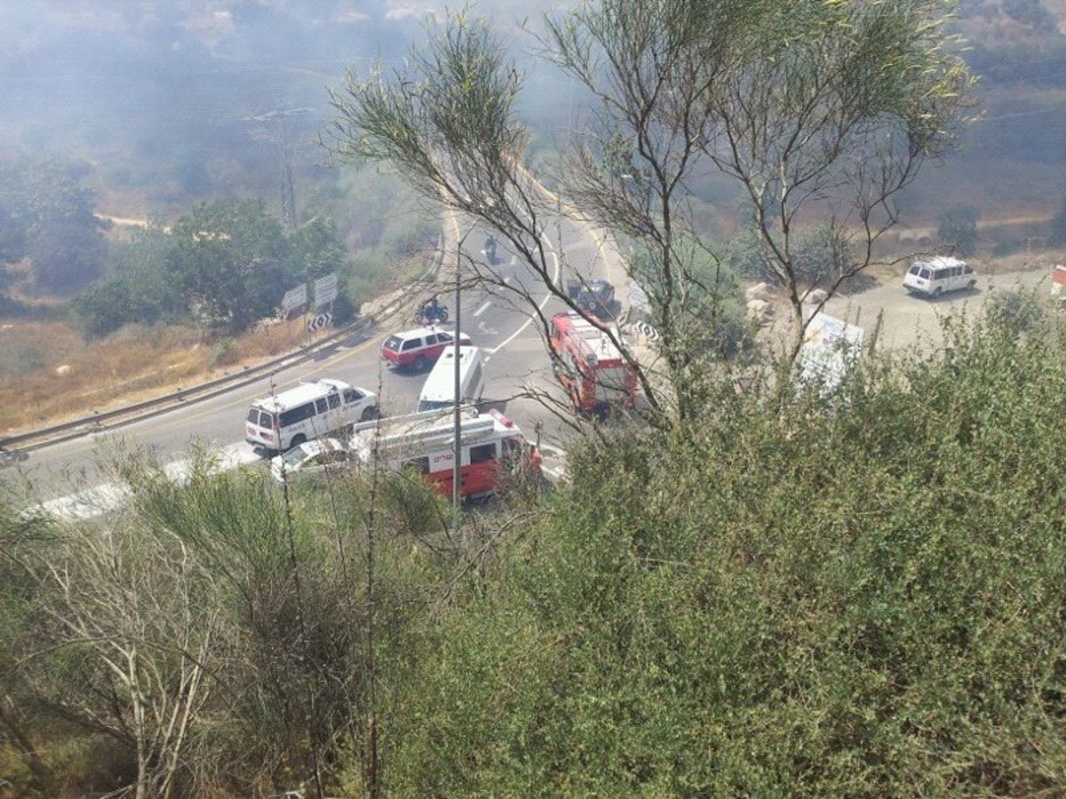 אחרי שעות ארוכות: הושגה שליטה על השריפה הגדולה