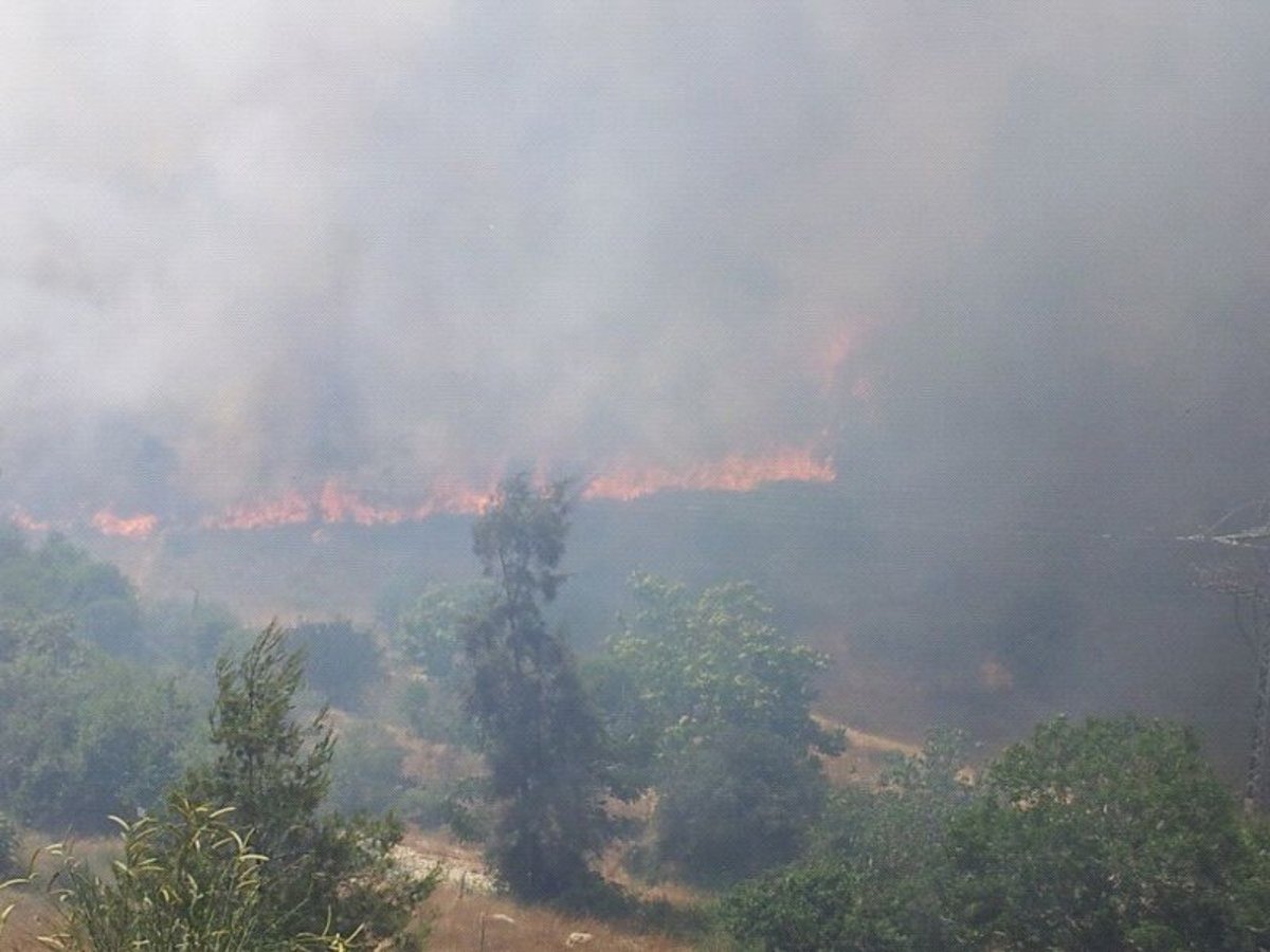 אחרי שעות ארוכות: הושגה שליטה על השריפה הגדולה