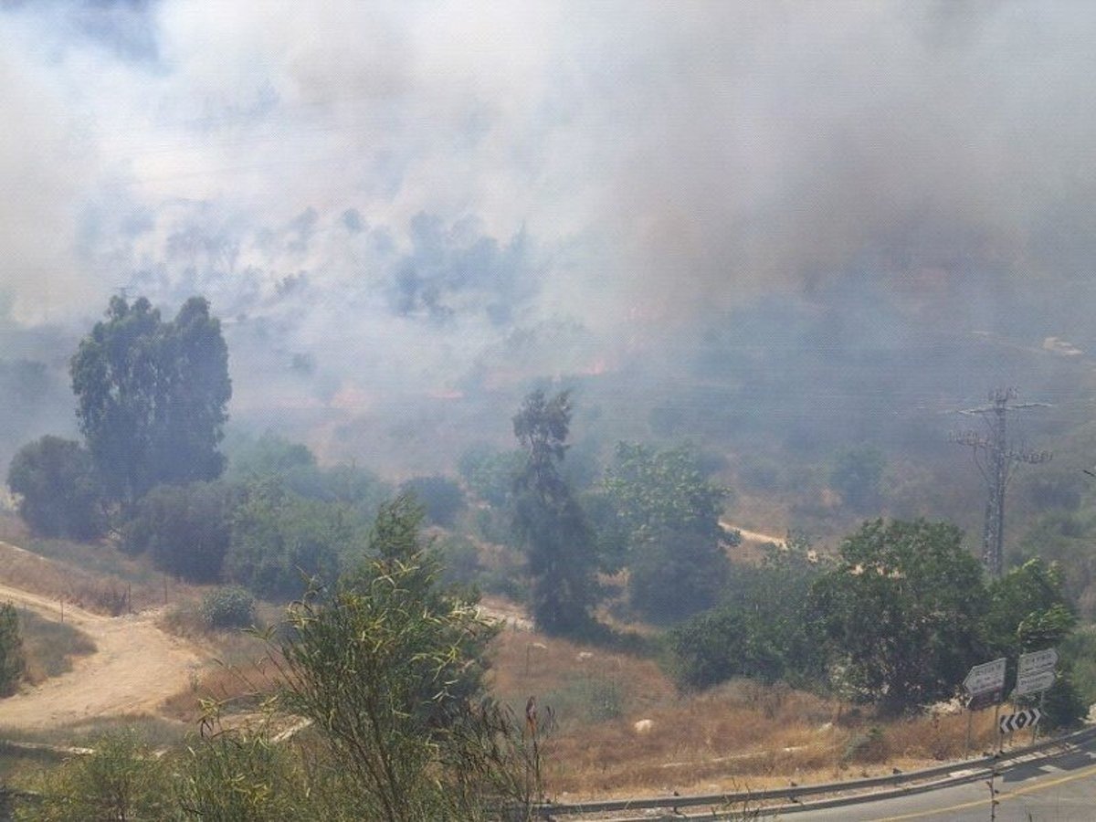 אחרי שעות ארוכות: הושגה שליטה על השריפה הגדולה