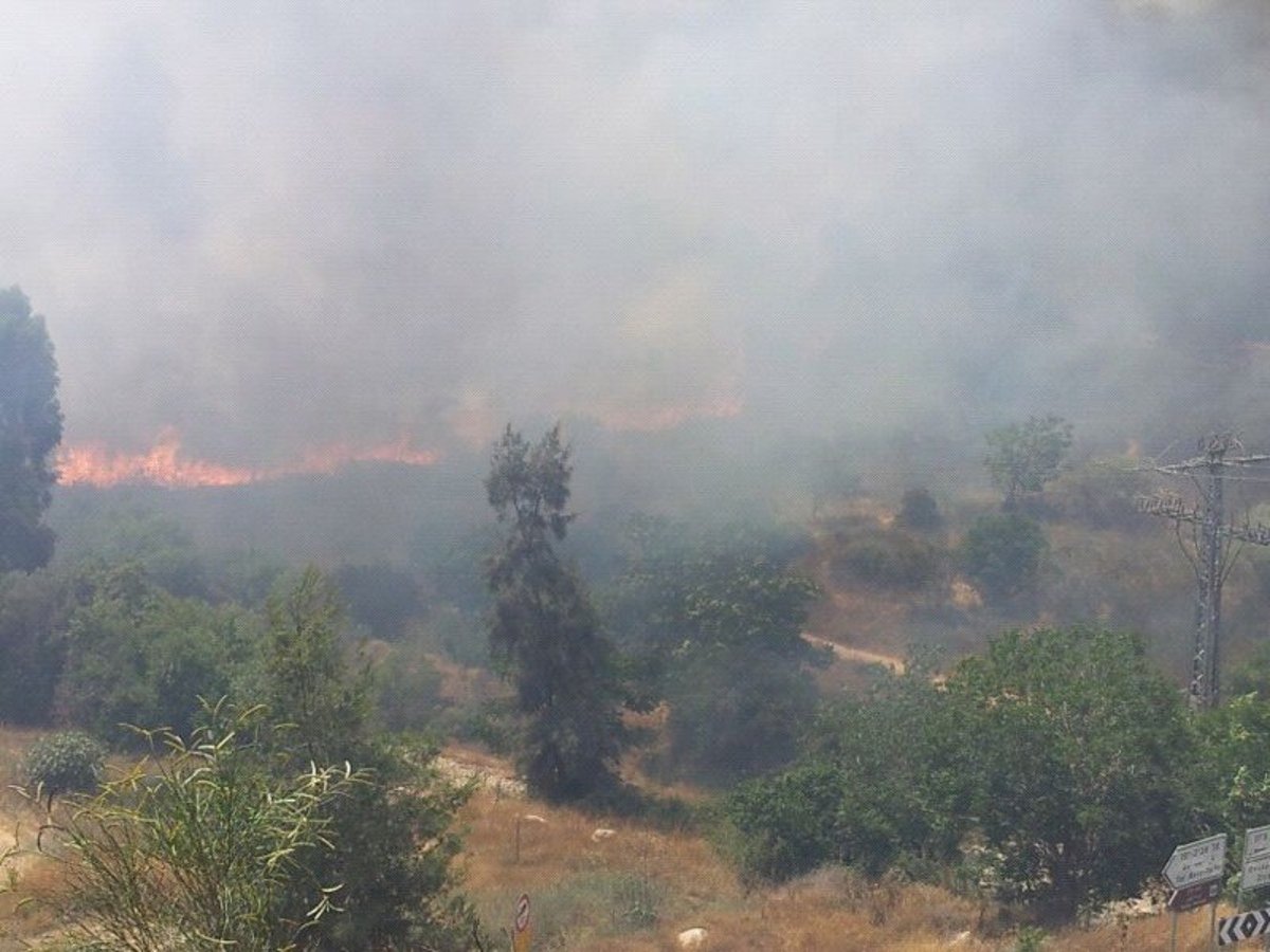 אחרי שעות ארוכות: הושגה שליטה על השריפה הגדולה