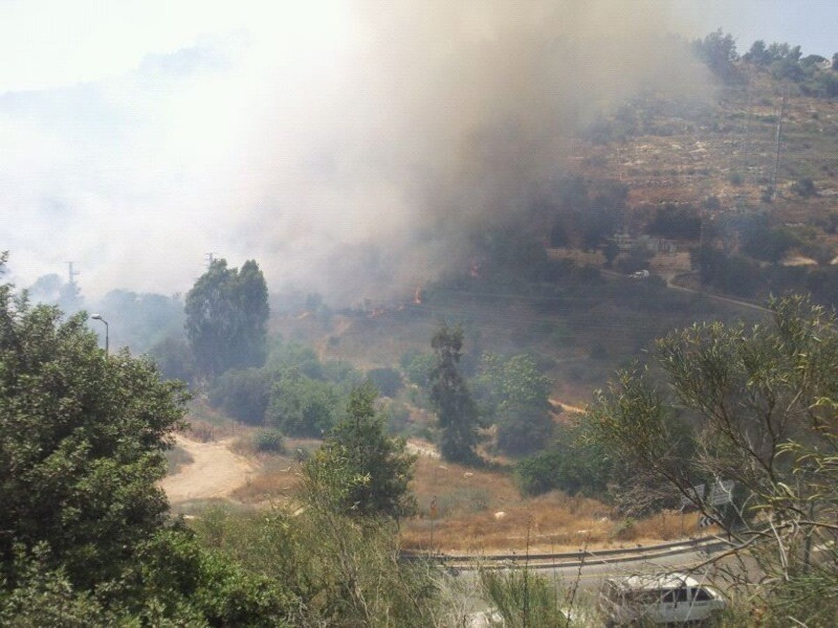 אחרי שעות ארוכות: הושגה שליטה על השריפה הגדולה